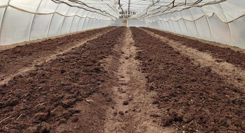 A talaj-EC sajátosságai a hajtatásban - Még egyszer a fóliasátor talajának rendszeres átmosatásának szükségességéről