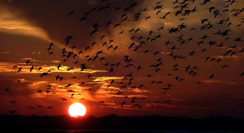 Íme a 6 legfontosabb előrejelzés a stabilcoinokra vonatkozóan 2026-ra