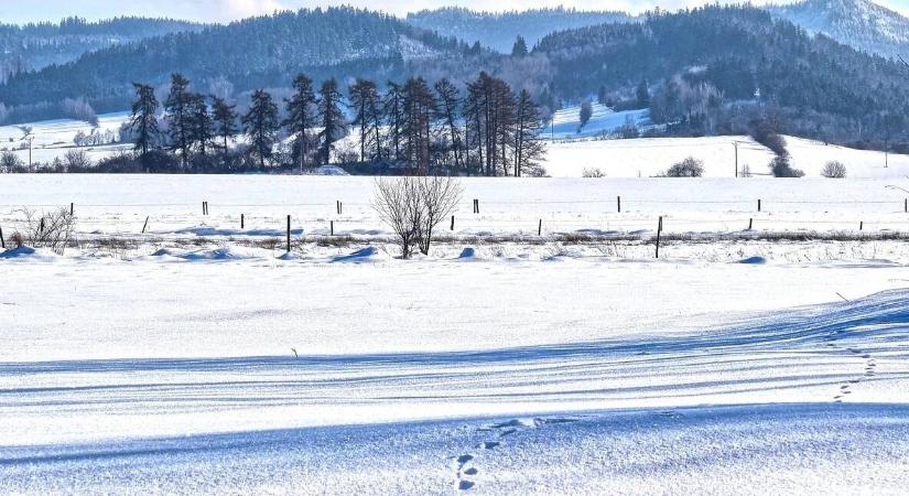 Szilveszteri babonák a mezőgazdaságban – mit nem csináltak nagyapáink?