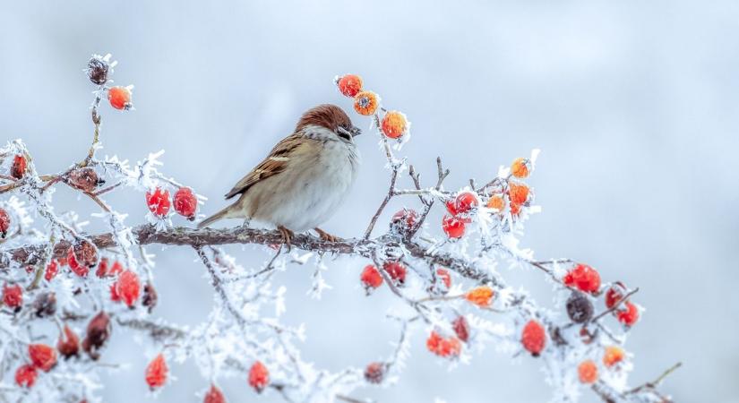 Hószállingózás, majd felszakadozó felhők – Ilyen idő vár ránk újév napján