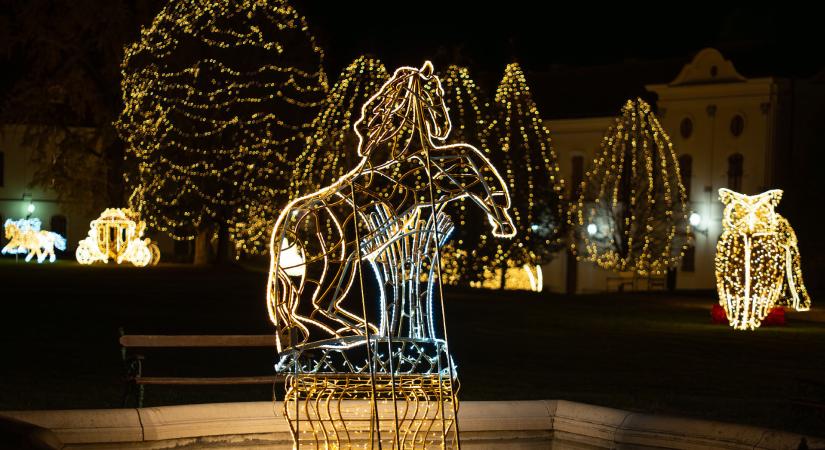 Egyedül szilveszterezni