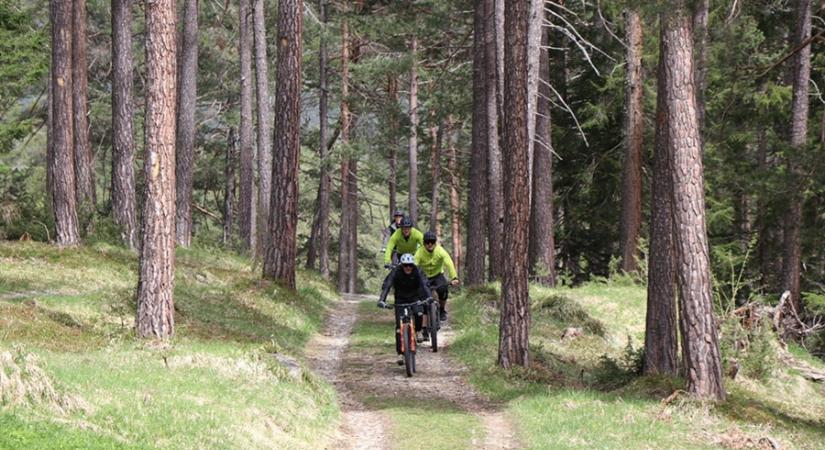 Füredi kerékkaland és emlékfák a Túrajó novemberi kínálatában