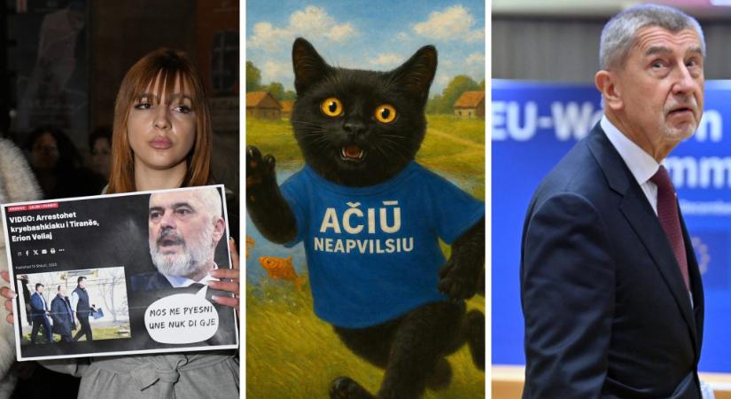 Médiaszakértő cica, részeg honatyák, parlamenti rakétázás – régiós abszurdkörkép 2025-ből