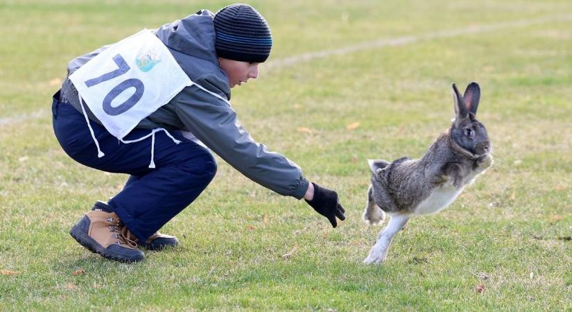 Sellő és Fogatlan ha gyors nem is, de legalább szép volt: fergeteges hangulat a somogysárdi nyúltrappon