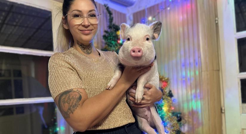 "Szilveszter éjszaka meghúzom a farkát" - Cintinek így hozott szerencsét Alice, a kismalac