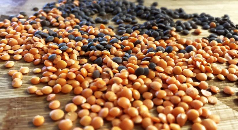 Így lesz tökéletes a lencsefőzelék– újévi szerencse egy tányérban (recepttel)