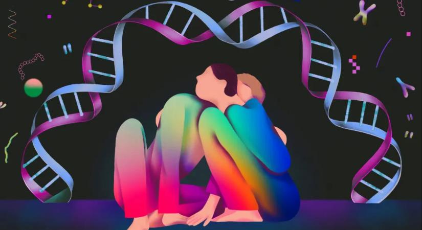 A homoszexualitásnak evolúciós haszna van, ezért maradhatott fenn