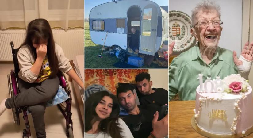 Szem nem marad szárazon: mutatjuk az év legszívszorítóbb történeteit