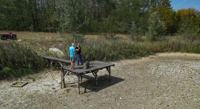 Forradalmi megoldással győznék le az aszályt a magyar szakemberek – kedvező számokat produkált a homokhátsági projekt