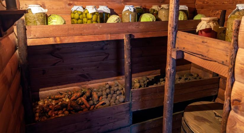 Pince páramentesítése télen – a penészmentes tárolás alapjai