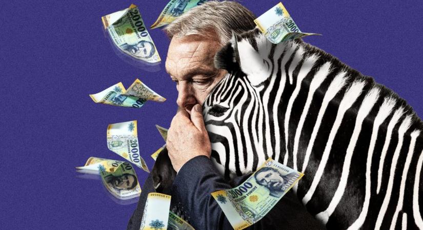 „Azt akarom, hogy a magyarok nagyok legyenek és gazdagok” – dubajozás Rákoson, elszórt MNB-milliárdok, örökbe fogadott zebra