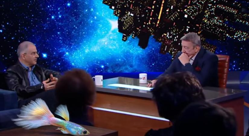 A Tisza a guppikat is megadóztatná? – Kósa Lajos Bayer Zsolt műsorában ökörködött