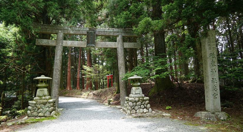 Idegen, ősi járművet találtak egy japán erdő mélyén? A világot is megrázta a felfedezés