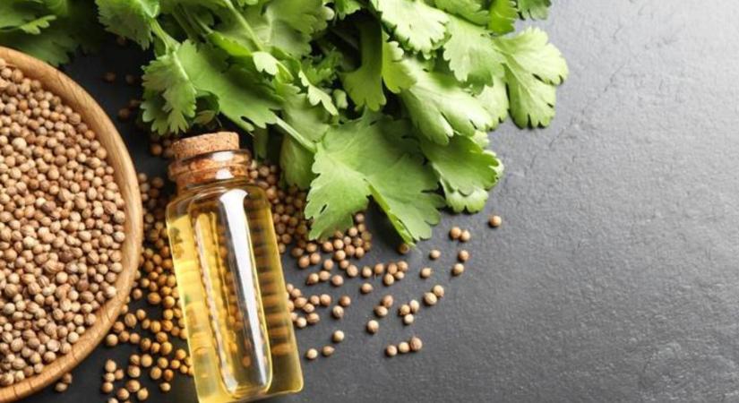 Zöld csoda a konyhában: tudtad, hogy ez a fűszernövény védi a szíved?