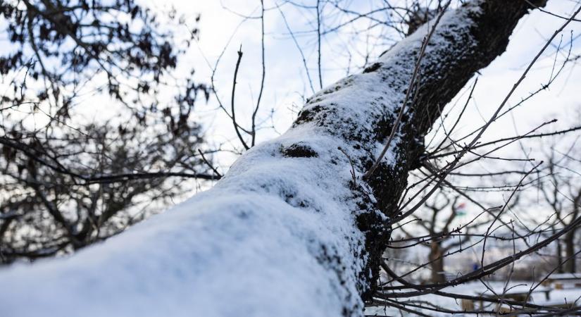 Fagyos reggel, napos délután: ilyen idő vár ránk újév napján