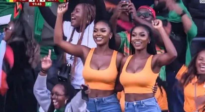 Afrikai Nemzetek Kupája fogadás – Teljes útmutató a 2025/2026-os tornához