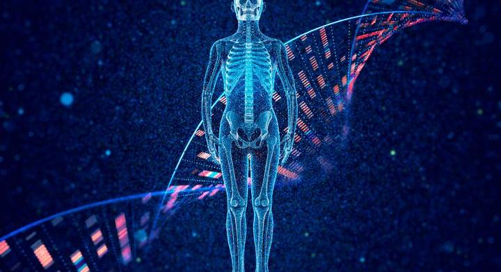 Igaz-hamis kvíz biológiából: a 10 pont kötelező