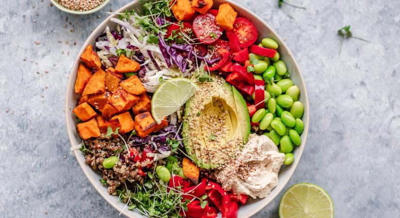 Növényi energia: így biztosíthatók a makrotápanyagok növényi forrásokból