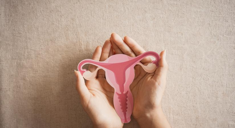 Nem csak a bélben pótolhatatlan – a vaginális mikrobiomtól is sok minden függ