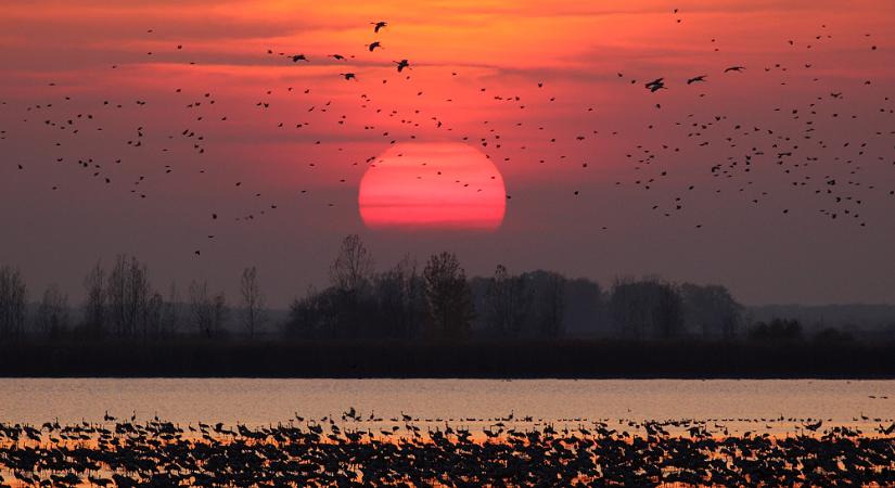 53 éve jött létre Magyarország első nemzeti parkja