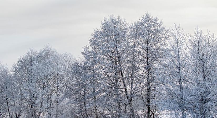 Felkészültél? Még csak most jön a java: miért a január a leghidegebb hónap?