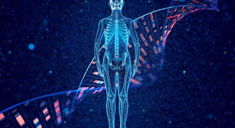 Hány százaléka víz az emberi testnek? 7 kérdés, amit suliban még tudtál