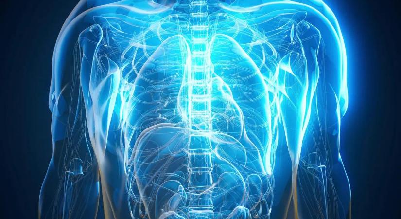 Rejtett veszély fenyegeti a szívet – a férfiak lehetnek nagyobb bajban