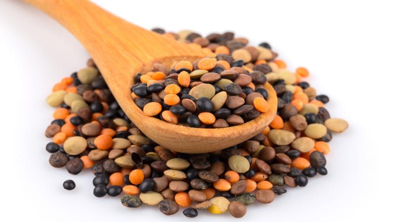 Lencse, a növényi fehérje egyik legjobb forrása - így készítsd, hogy igazán egészséges maradjon!