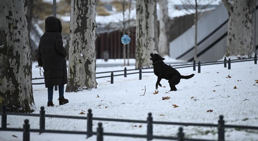 Csaknem az egész országban havazást hozott a szilveszter