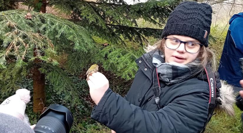 A kontinens legapróbb madárkáját csípték fülön Pannonhalmán