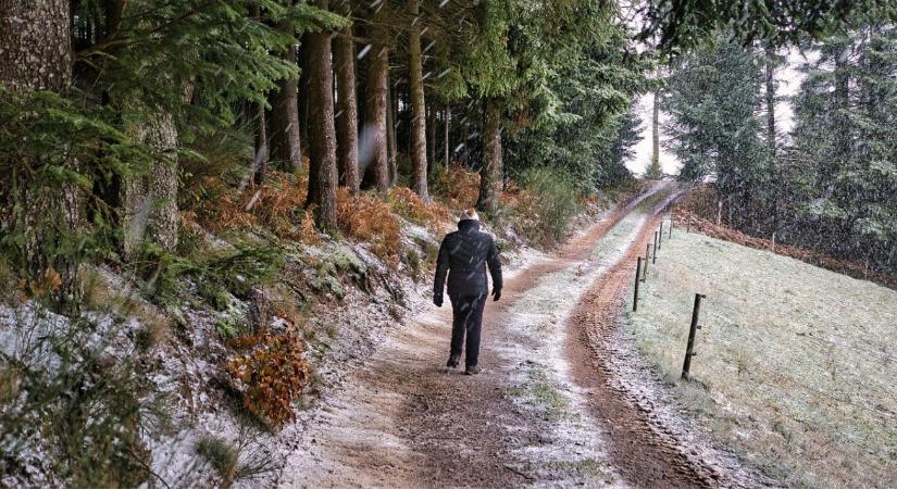 Agrometeorológia: Hoz-e fordulatot az új év első hete az időjárásban?