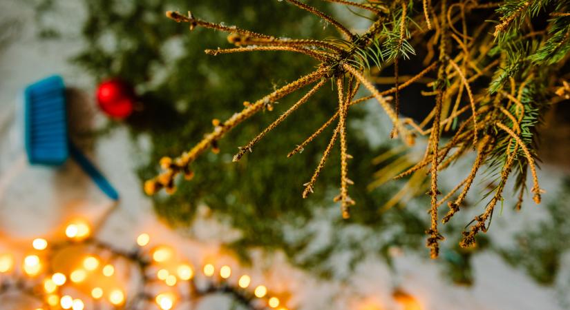 Mikor van vízkereszt napja 2026-ban? A vízkereszt jelentése, népszokások és a karácsonyfa leszedése