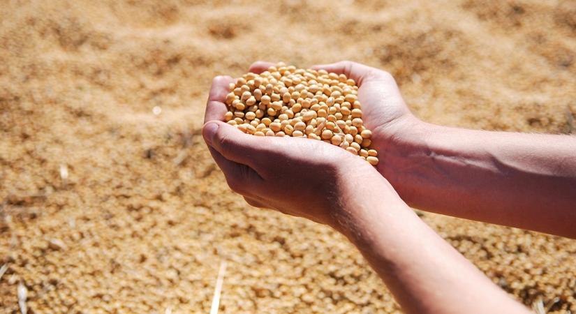 12 milliárd dollár: milyen mentőcsomag az, amely nem menti meg a gazdákat?