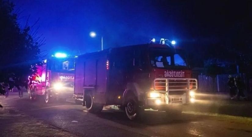 Jégbe fagyott hattyú, aknába esett póni – szilveszterkor nem unatkoztak a tűzoltók