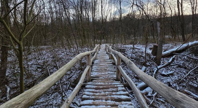 Jági tanösvény: könnyen bejárható erdei körtúra Pilisszentivánnál