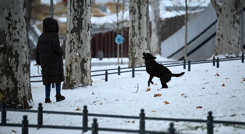Amikor már senki nem számított rá, fehérbe borult a főváros: fotókon a hólepte Budapest