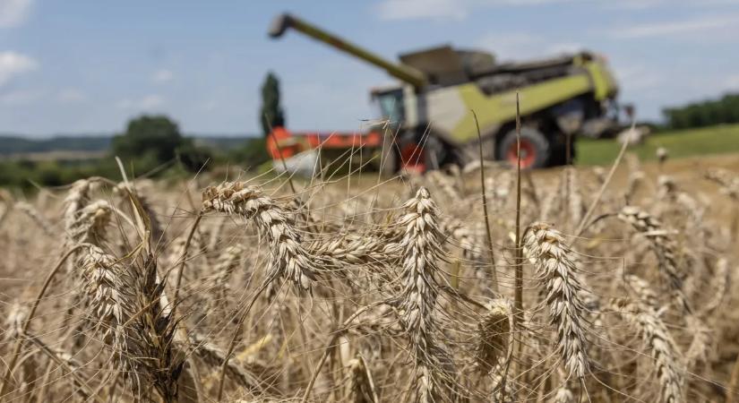 Az új év kézzelfogható könnyítéseket hoz a gazdáknak