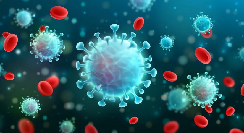 Kutatók figyelmeztetnek: halálos fertőző vírus jelenthet globális egészségügyi fenyegetést