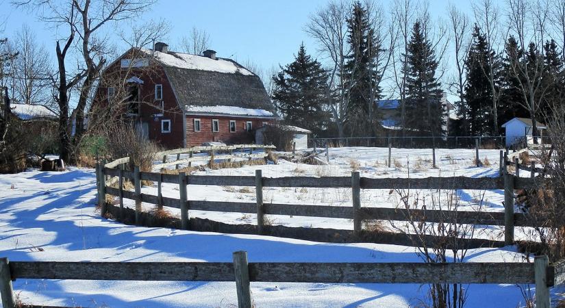 A tél legnagyobb hibái – amit egy gazda sem engedhet meg