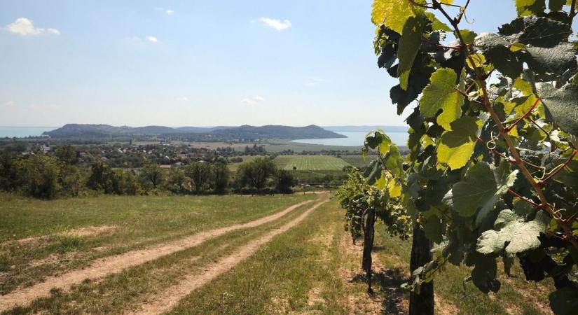 Ha a világnak ezen a táján készülnének a balatoni borok, már világhírűek lennének