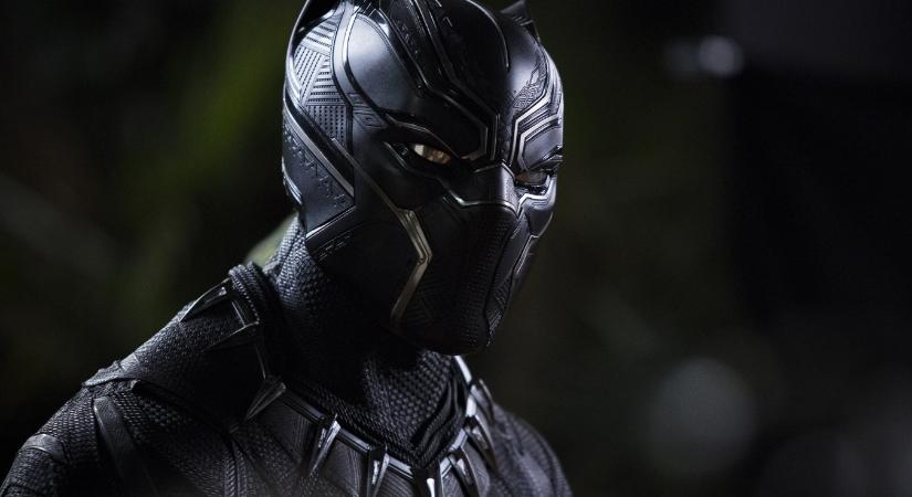 Fekete Párduc 2: Ilyen lett volna eredetileg a film Chadwick Bosemannel