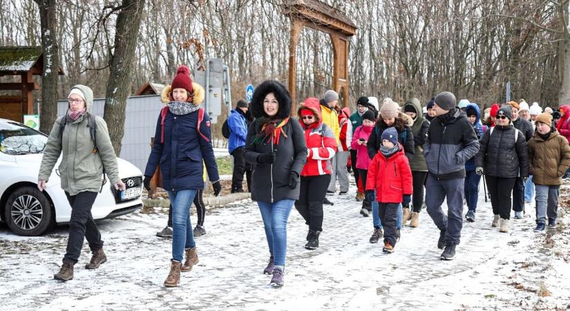 Mit keres egy elefánt a szolnoki parkerdőben? Fotókon és videón mutatjuk, mi történt a helyszínen