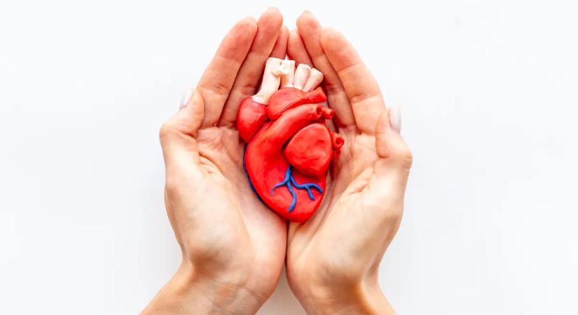 Szívbillentyű csere: az életmentő műtét, amikor a szív már alig bírja