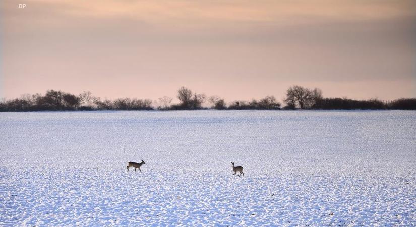 Délen sokfelé csapadék