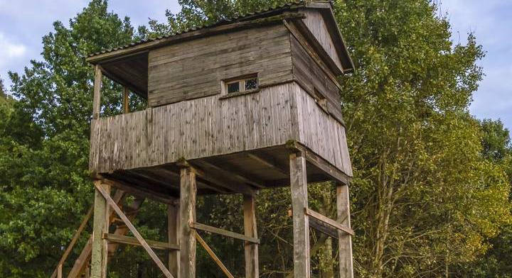 Villámkvíz: felismered ezeket a kisragadozókat kép alapján?