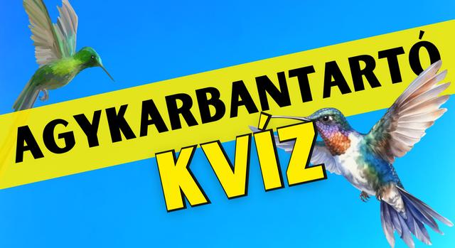 Napi agykarbantartó feladat: Színes memóriajáték – Te emlékszel a pontos sorrendre?