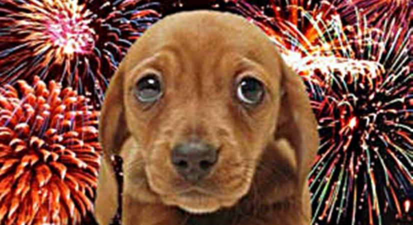 Határon innen és túl – Hiába beszélünk mi? 12 petárda és tűzijátékbaleset láttak el a mentők csak itthon