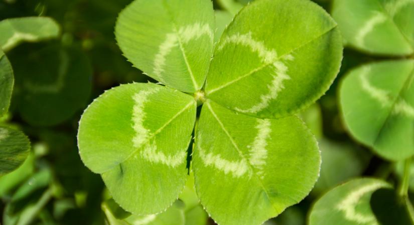 Friss! A Hatoslottó nyerőszámai az 1. játékhéten csütörtökön, 2026-ban