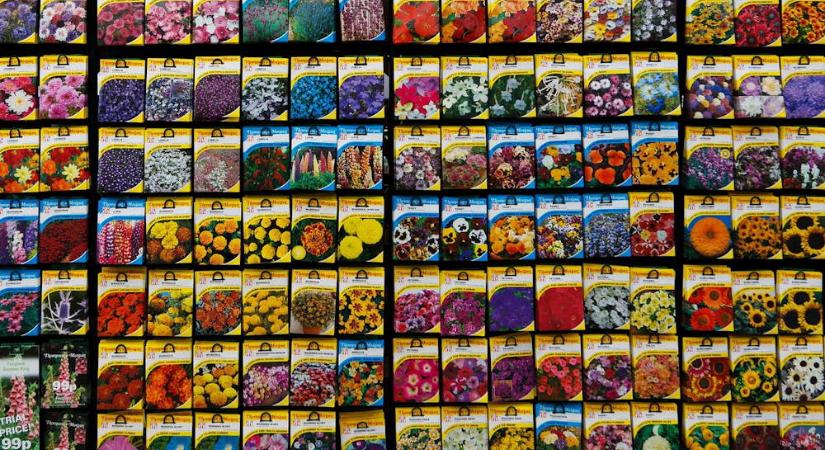 Vetőmagok, amik most is foglalkoztatnak – mire jó a téli átnézés?