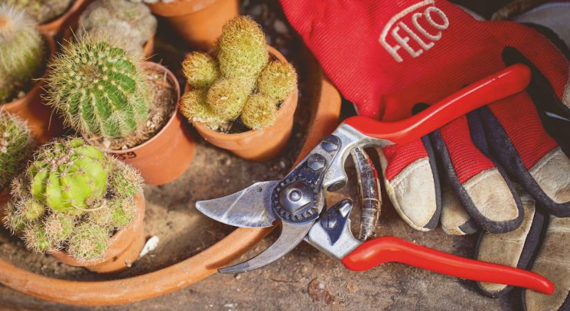 A kerti szerszámok titkos pihenőideje – mikor mit érdemes átnézni?